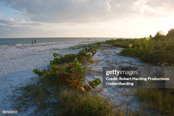 sunset on beach, sanibel island, gulf coast, florida, united states of america, north america - golfküste stock-fotos und bilder