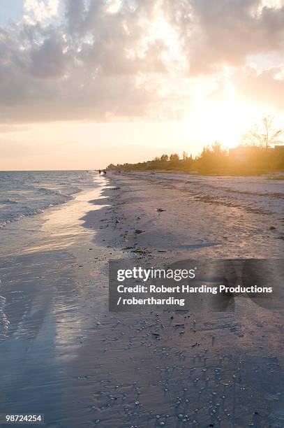 sunset on beach, sanibel island, gulf coast, florida, united states of america, north america - north texas v florida atlantic stock pictures, royalty-free photos & images
