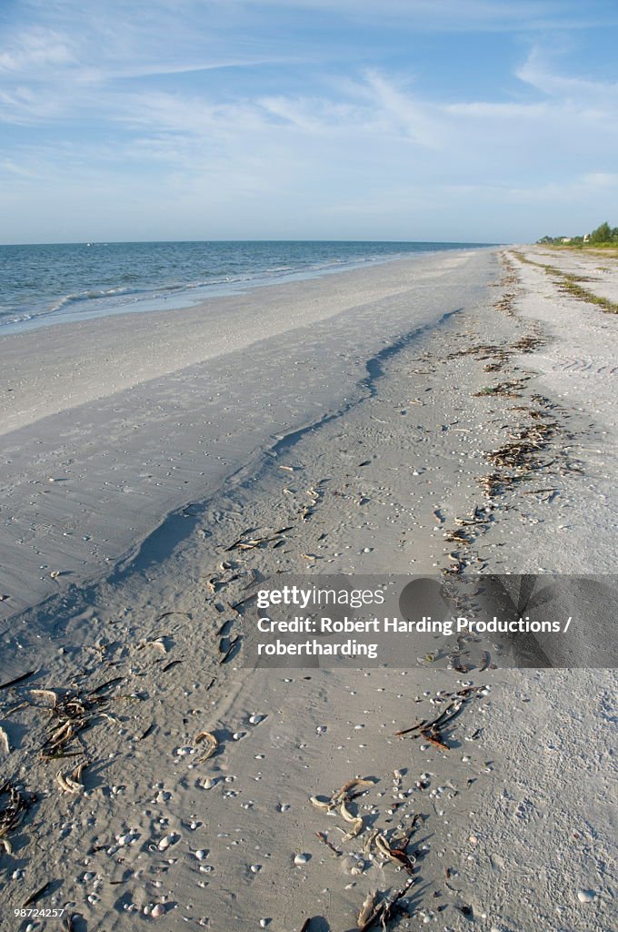 Beach, Sanibel Island, Gulf Coast, Florida, United States of America, North America