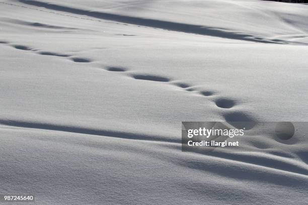 schnee - schnee stock pictures, royalty-free photos & images