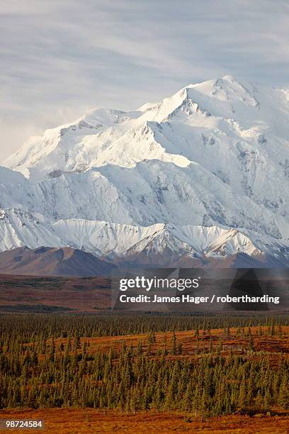 mount mckinley (mount denali), denali national park and preserve, alaska, united states of america - cathedral peaks stockfoto's en -beelden