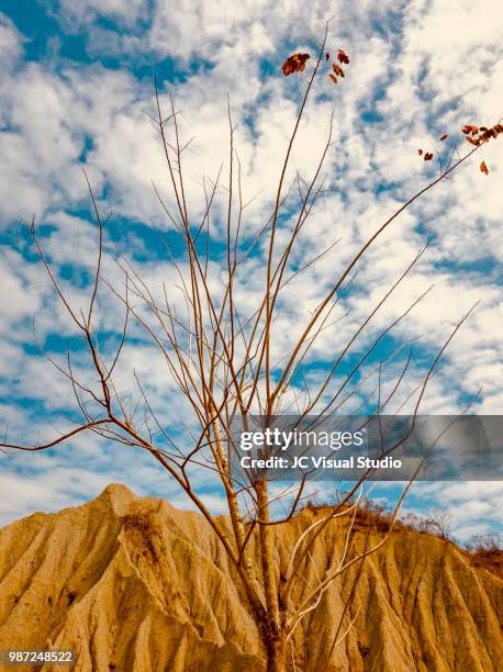 a world-class landform spectacular tianliao's 'moon world' in kaohsiung taiwan - geology class stock pictures, royalty-free photos & images