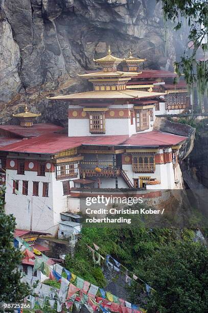 tigers nest (taktsang goemba), paro valley, bhutan, asia - paro district fotografías e imágenes de stock