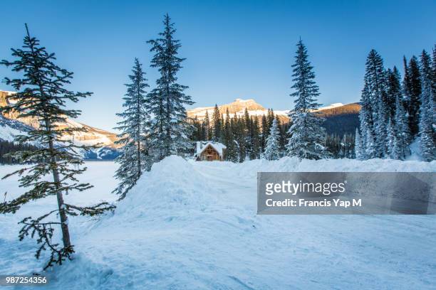emerald winter - francis winter 個照片及圖片檔