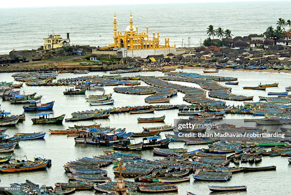 Fishing boats in harbour, coastal area of Vizhinjam, Trivandrum, Kerala, India