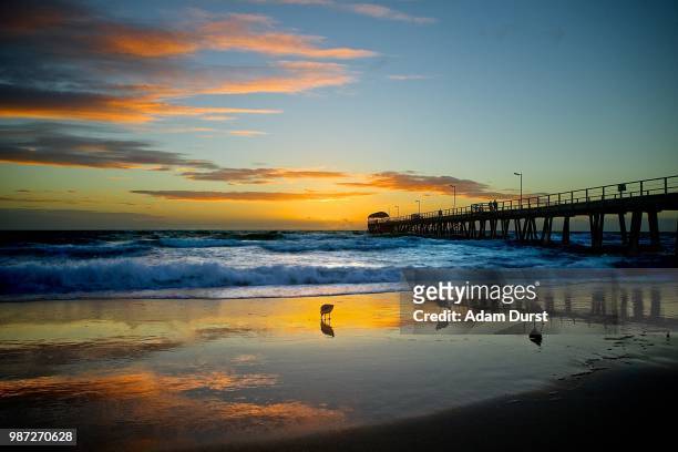 sunset at henley beach jetty - henley beach stock pictures, royalty-free photos & images