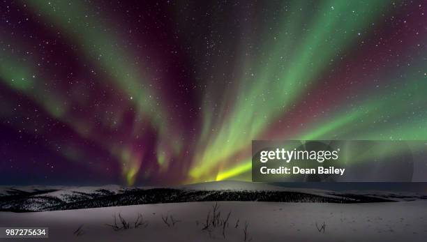 aurora borealis, alaska - interior alaska bildbanksfoton och bilder