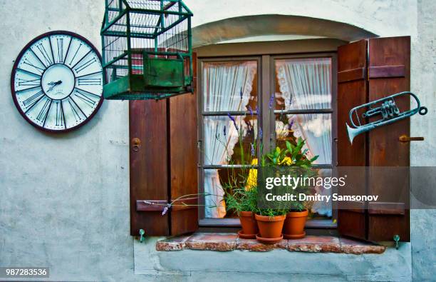 window - flower show stock pictures, royalty-free photos & images