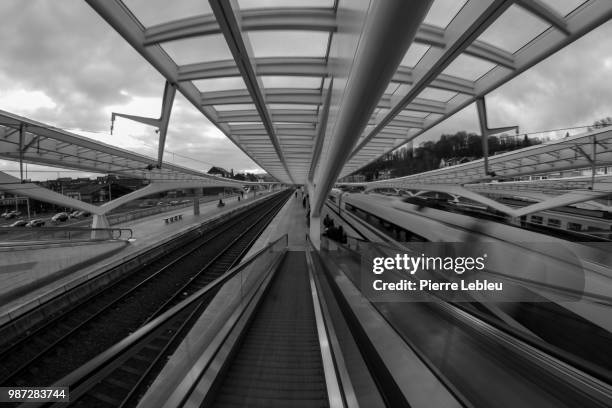 gare des guillemins - gare stock pictures, royalty-free photos & images