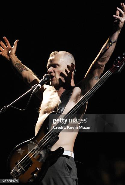 Flea of the Red Hot Chili Peppers