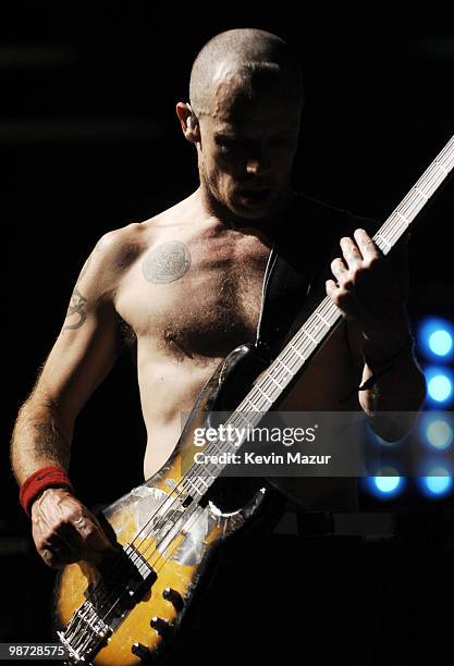 Flea of the Red Hot Chili Peppers