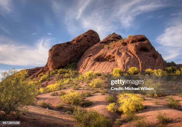 papago park - papago park stock pictures, royalty-free photos & images