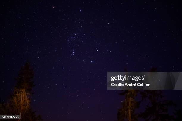 north stars - collier stock pictures, royalty-free photos & images