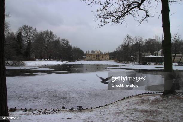 lazienki park in winter - lazienki park stock pictures, royalty-free photos & images