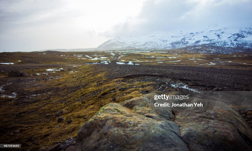 Fjallsarlon