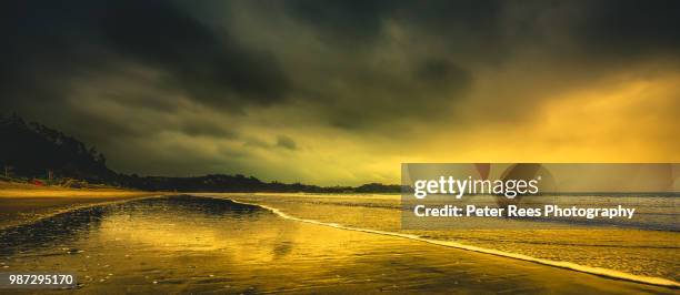 563 Peter Rees Stock Photos, High-Res Pictures, and Images - Getty Images