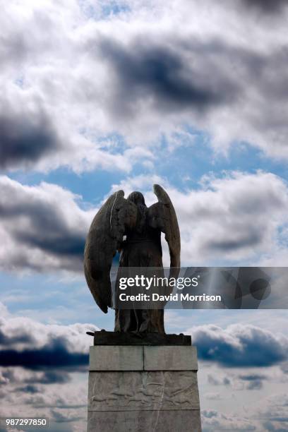 back view of angel statue in cobh - cobh stock pictures, royalty-free photos & images