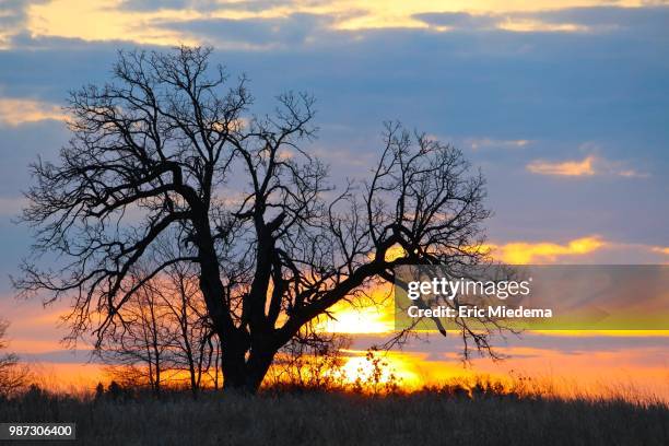 singing hills sunrise 2 - miedema fotografías e imágenes de stock