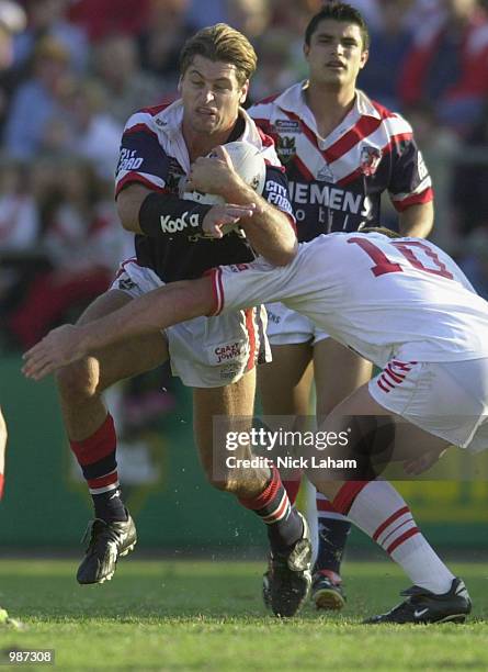 Luke Ricketson Body 216 Luke Ricketson Roosters Stock Photos, High-Res Pictures, and Images ...