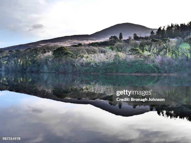 glass lake - bronagh stock pictures, royalty-free photos & images