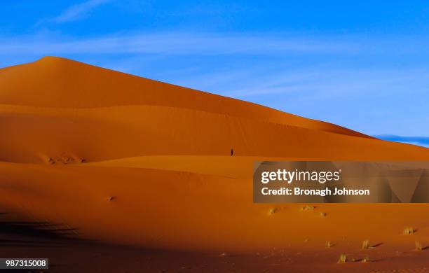 lost in the desert - bronagh stock pictures, royalty-free photos & images