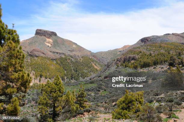 el teide national park at tenerife (spain) - el teide national park stock-fotos und bilder