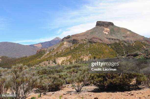 el teide national park at tenerife (spain) - el teide national park stock-fotos und bilder