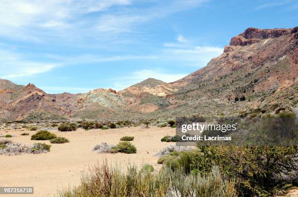 el teide national park at tenerife (spain) - el teide national park stock-fotos und bilder