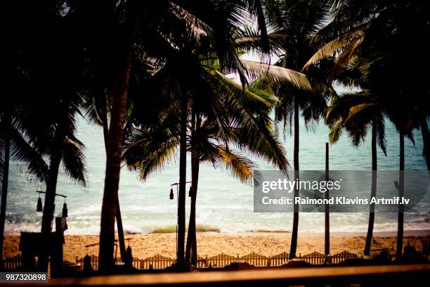 long ocean wave and palm trees on the coast - palm coast stock pictures, royalty-free photos & images