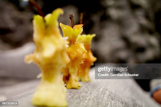 Flowe Core 482 Flower Core Stock Photos, High-Res Pictures, and Images - Getty Images
