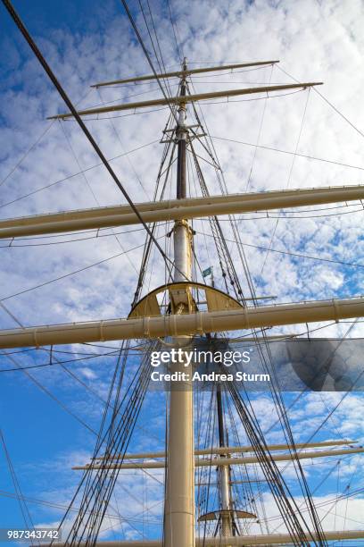 waiting for the journey - albero maestro foto e immagini stock