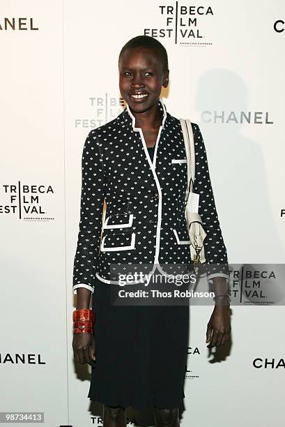 Model Alek Wek attends the CHANEL Tribeca Film Festival Dinner in support of the Tribeca Film Festival Artists Awards Program at Odeon on April 28,...