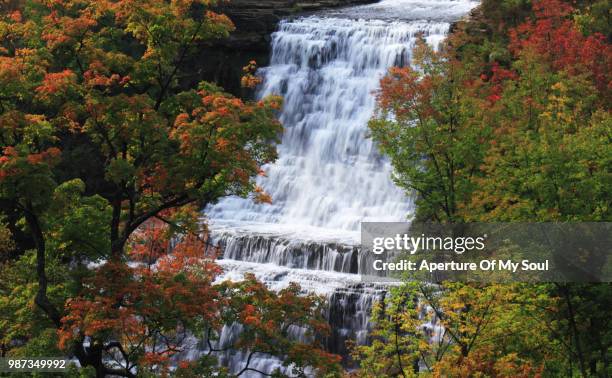 albion falls - mossoul stockfoto's en -beelden