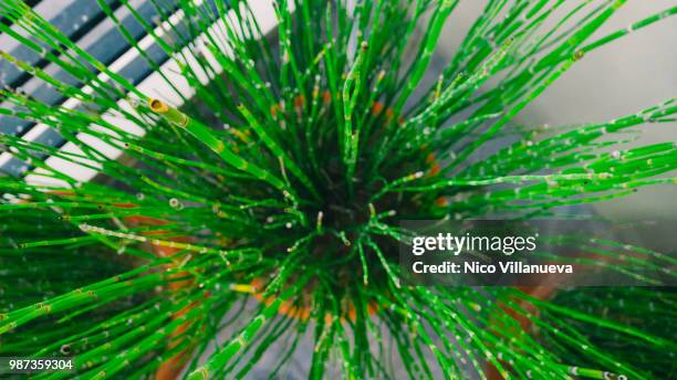 hyperspace - hyperspace stock pictures, royalty-free photos & images