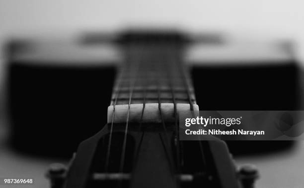 lines - bass guitar stock pictures, royalty-free photos & images