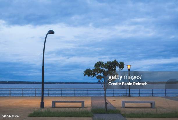 posadas,argentina - posadas 個照片及圖片檔