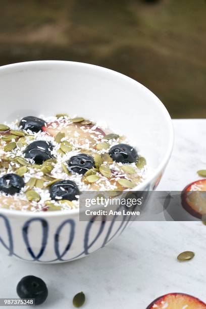 coconut blueberry-plum chia seed pudding - ane stock pictures, royalty-free photos & images