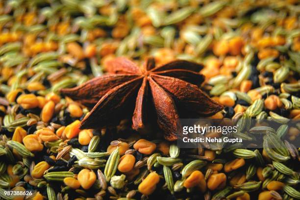 star anise seed - closeup - neha gupta stock pictures, royalty-free photos & images