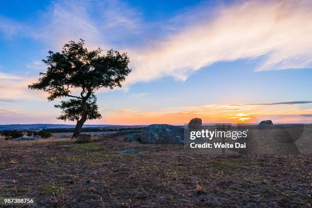 sunset of dog rocks - weite stock pictures, royalty-free photos & images