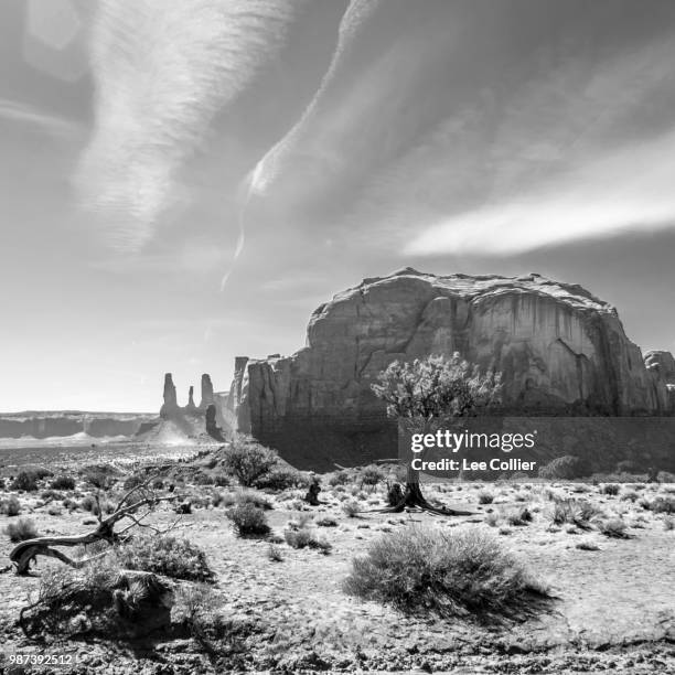 monument view - collier stock pictures, royalty-free photos & images