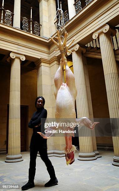 In this handout photo provided by English Heritage, Ron Mueck's "Still Life" installation is pictured at Belsay Hall, on April 29, 2010 in Belsay...