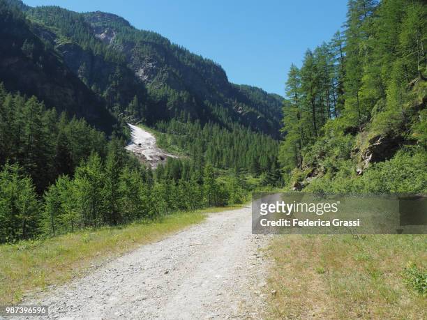 dirt road in zwischbergental valley, switzerland - footpath sign stock pictures, royalty-free photos & images