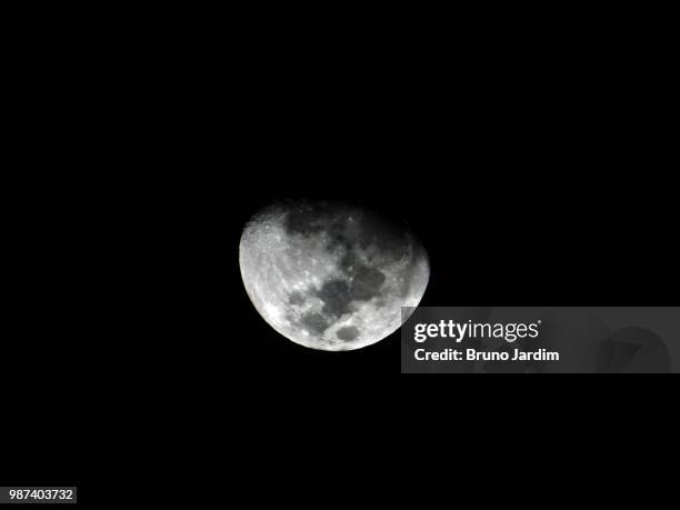 moon - jardim fotografías e imágenes de stock