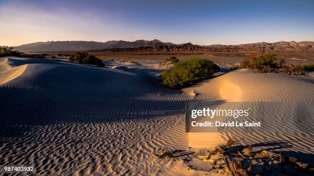 enter sandman - enter-sandman stock pictures, royalty-free photos & images