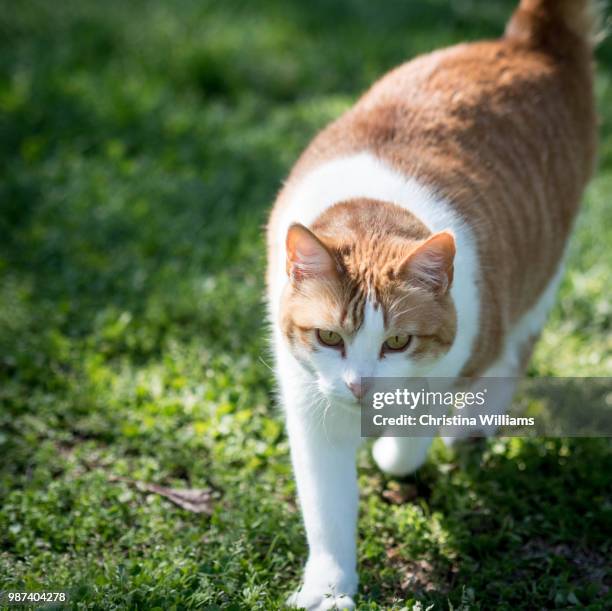 1,214 Nn Sister Picture Stock Photos, High-Res Pictures, and Images - Getty Images