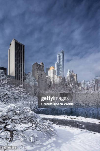 central park in winter - weide stock pictures, royalty-free photos & images