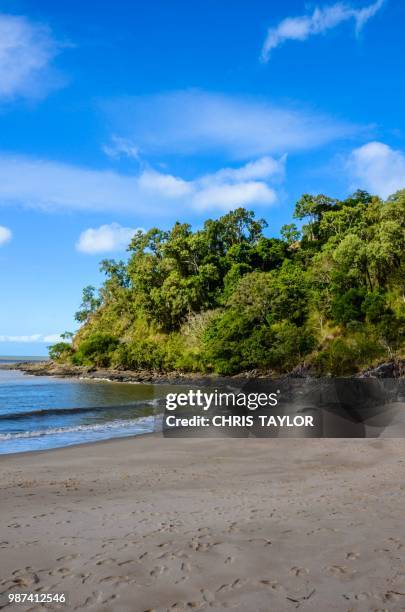 footprints in the sand - sandy taylor stock pictures, royalty-free photos & images