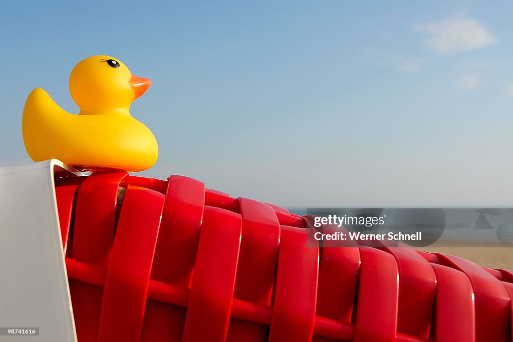The little duck was on vacation at the sea