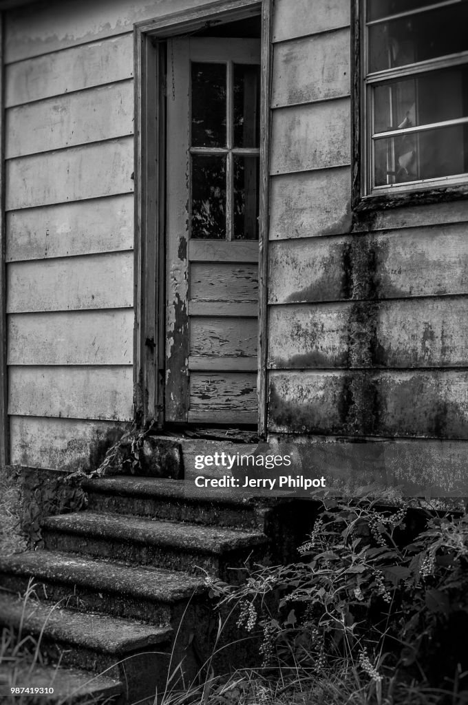 Back steps