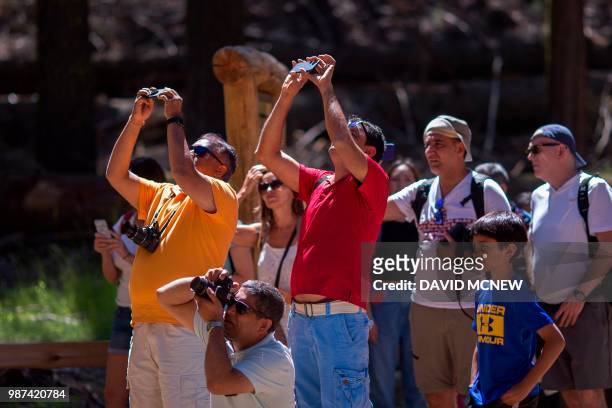 People aim their cameras up at the California Tunnel Tree in the Mariposa Grove of Giant Sequoias on May 21, 2018 in Yosemite National Park,...